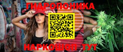 эйфоретик Заводоуковск